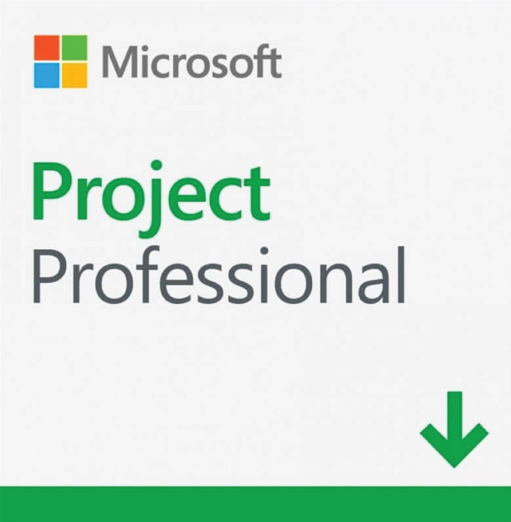 Microsoft Project 2021 Professional