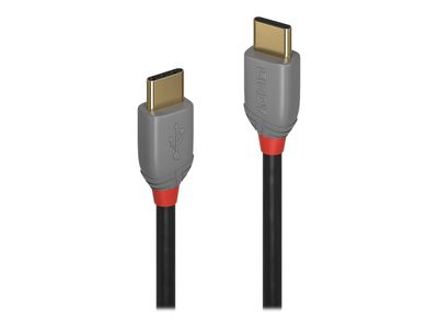 Lindy Anthra Line - USB-C cable - 24 pin USB-C to 24 pin USB-C - 2m