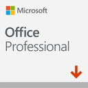 Microsoft Office 2021 Professional