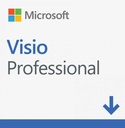 Microsoft Visio 2021 Professional